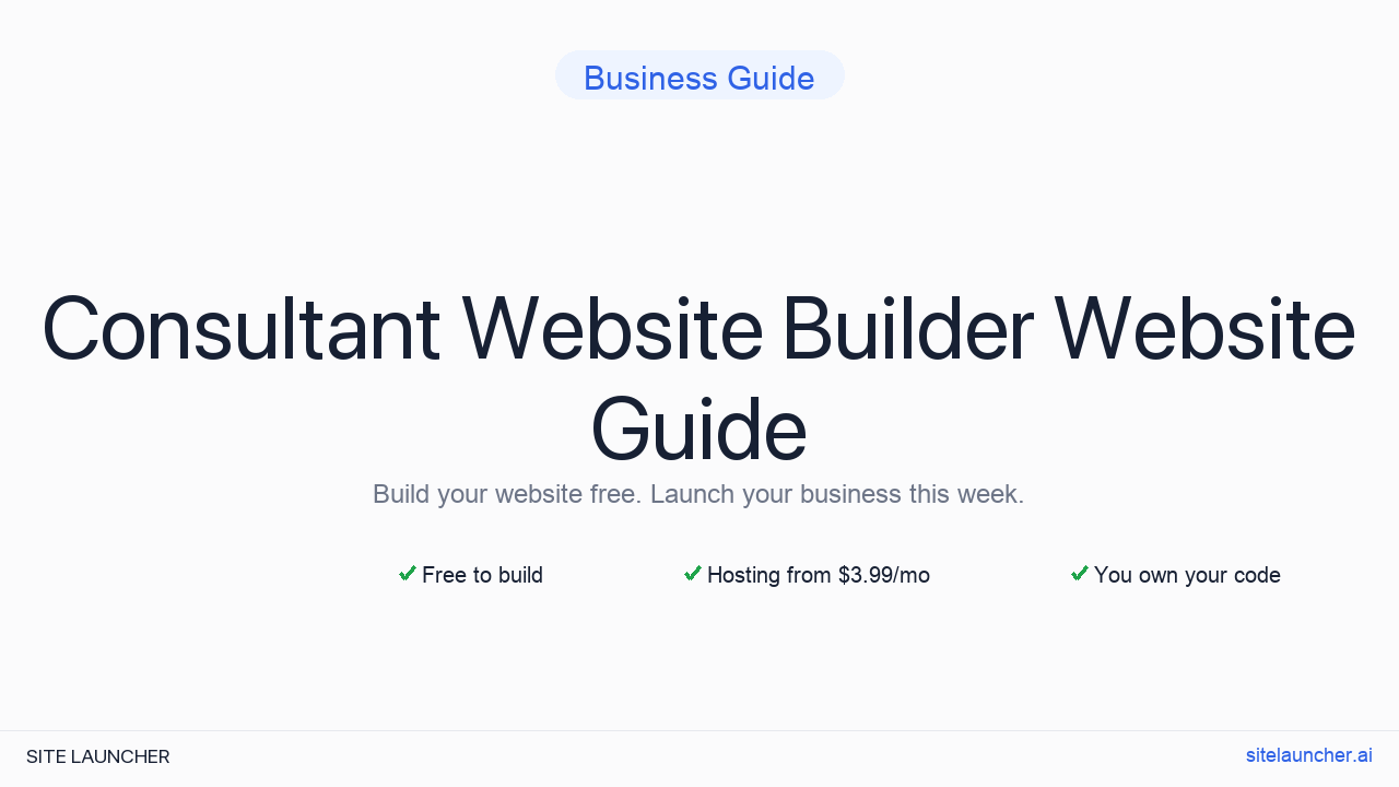 Consultant Website Builder
