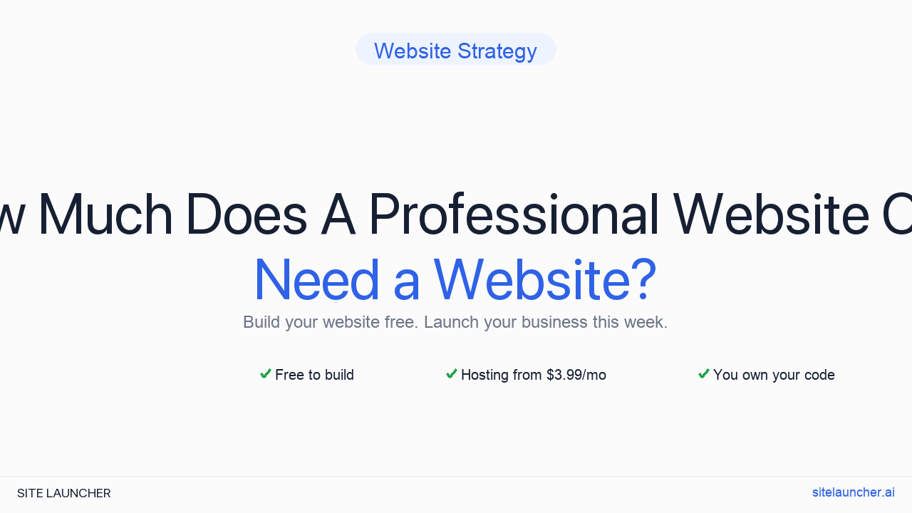 How Much Does A Professional Website Cost