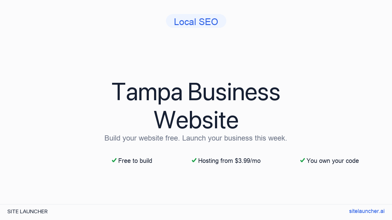 How to Build a Website for Your Tampa Business (Free and Fast)