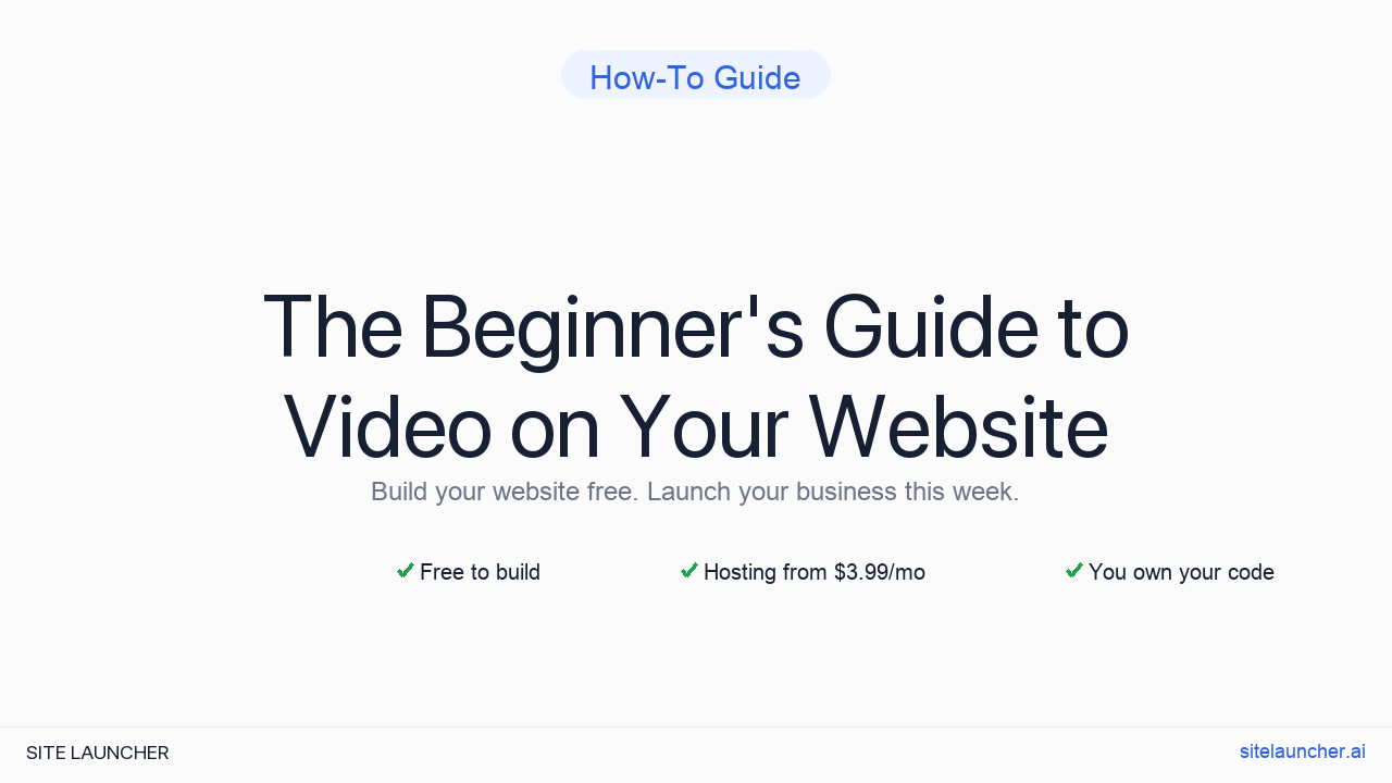 The Beginner's Guide to Video on Your Website