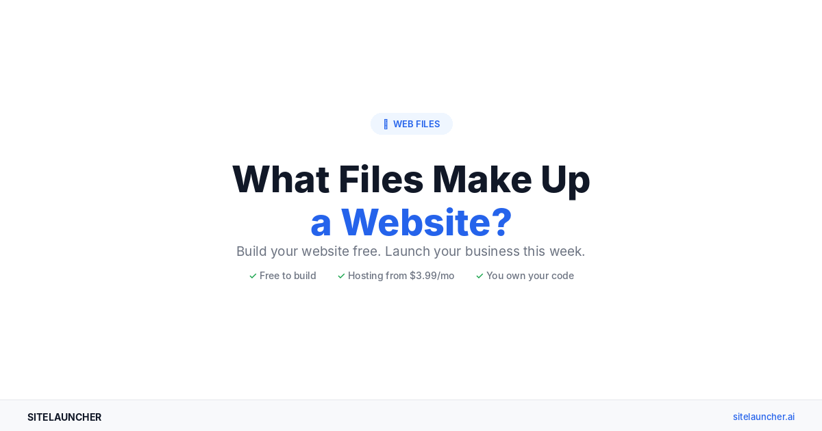 What Files Make Up a Website? A Beginner’s Guide