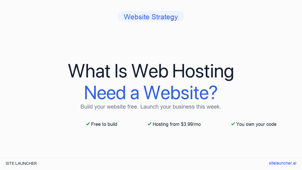 What Is Web Hosting